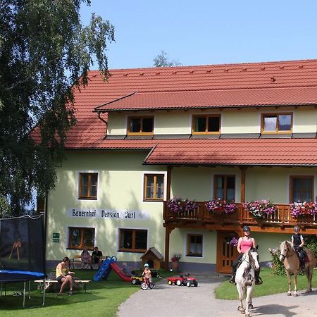 Bauernhof Pension Juri Obergosel Ngoại thất bức ảnh