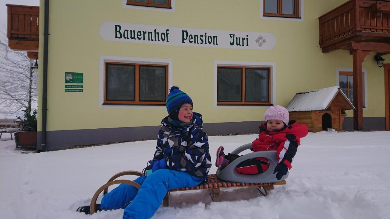 Bauernhof Pension Juri Obergosel Ngoại thất bức ảnh